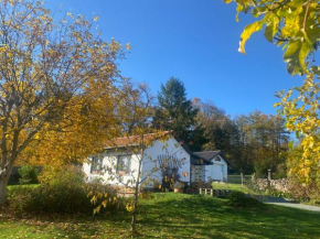 Ferienhaus Elsterblick